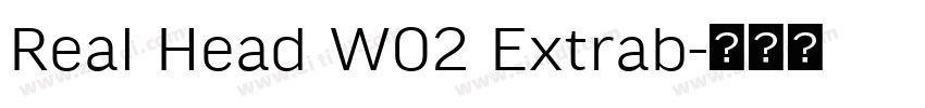 Real Head W02 Extrab字体转换